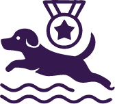 Cool Wag Competition