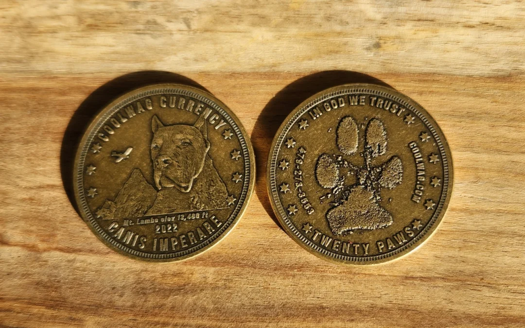 Introducing The CoolWag Coin