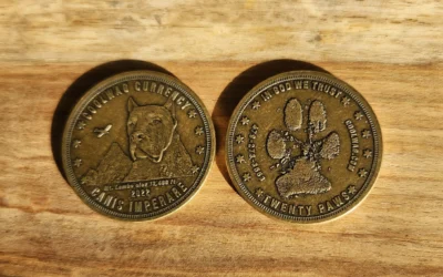 Introducing the CoolWag Coin